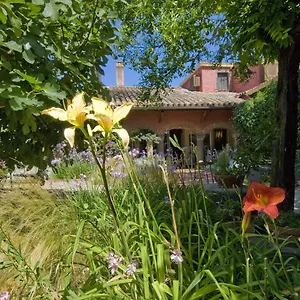 Lucrezia Hotel Riola Sardo